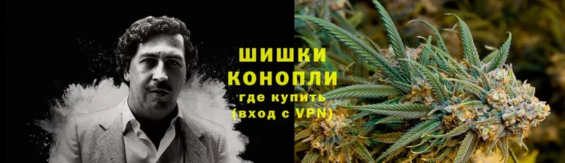 где можно купить   Лысьва  Бошки марихуана SATIVA & INDICA 